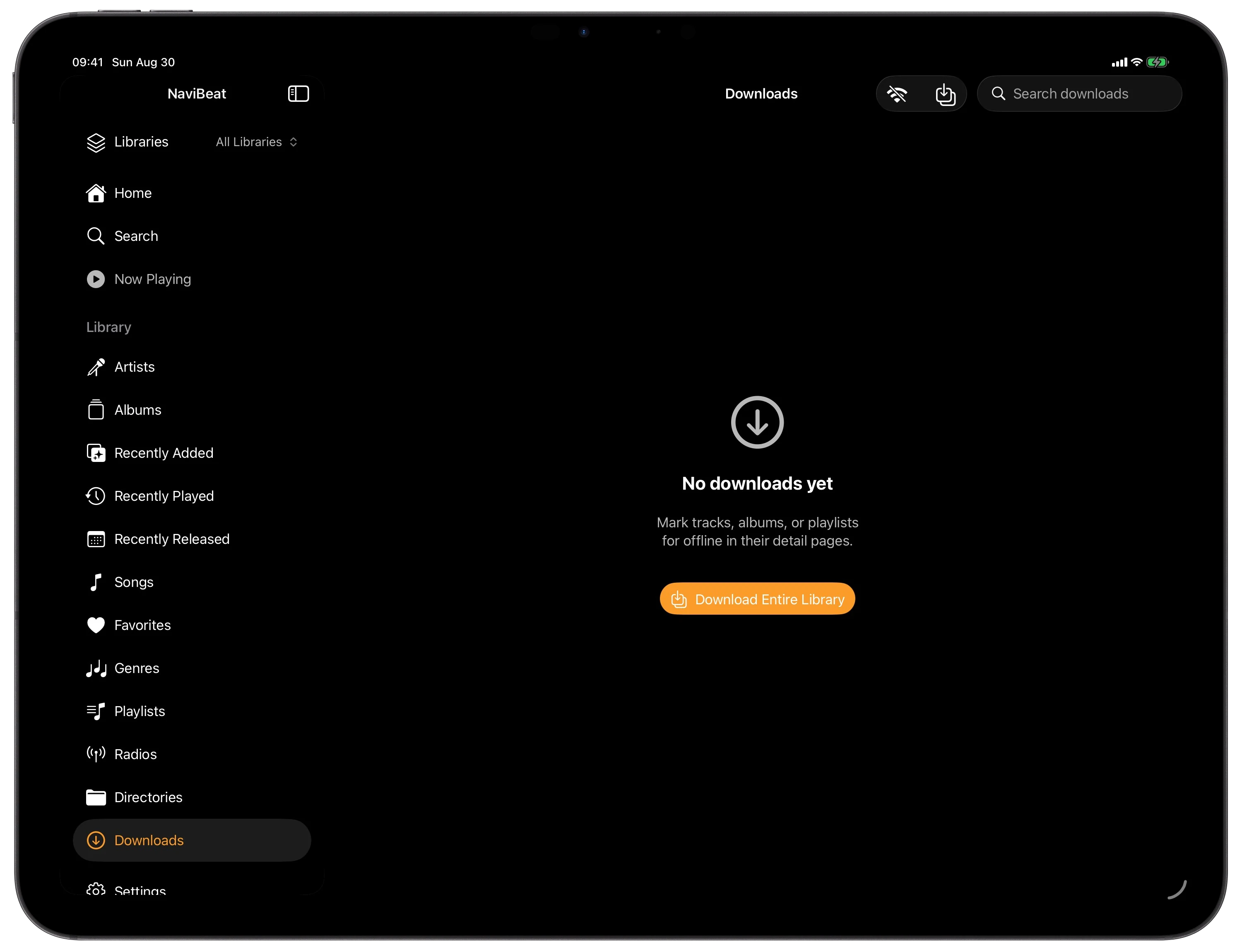 NaviBeat Downloads on iPad with All, Albums, Artists, and Playlists filters and three downloaded albums shown
