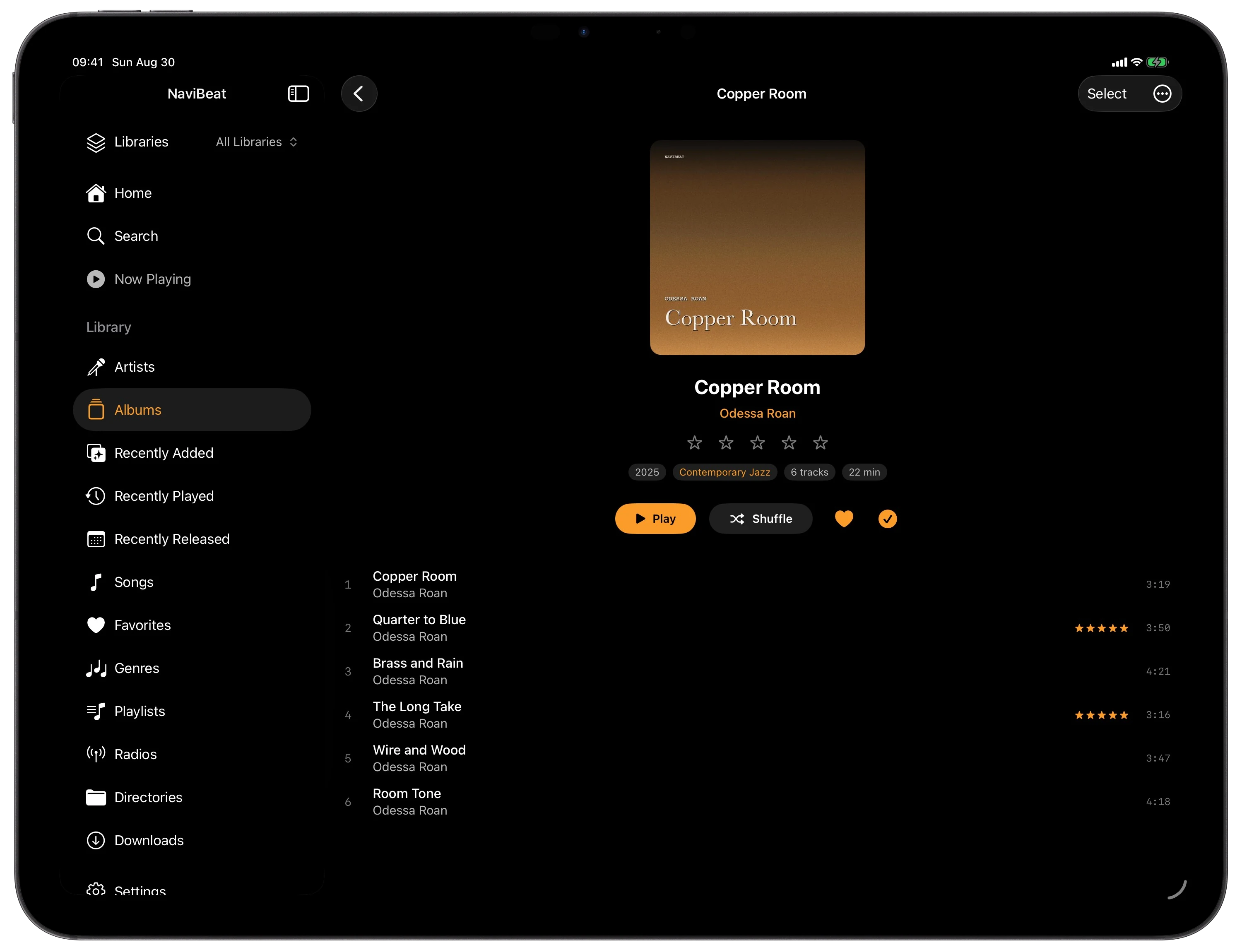NaviBeat Up Next queue on iPad